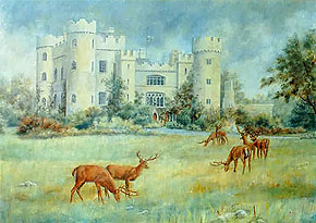 Irish Castle