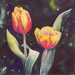 Belcanto Tulip