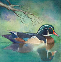 Duck