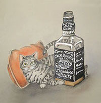 Jack Daniels Cat